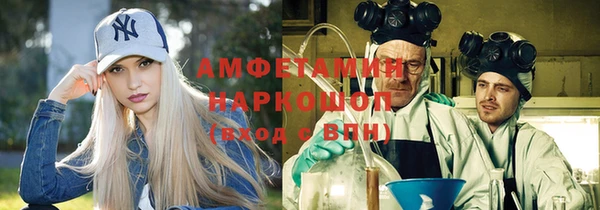 молекула духа Михайловск