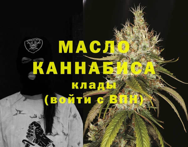 молекула духа Михайловск