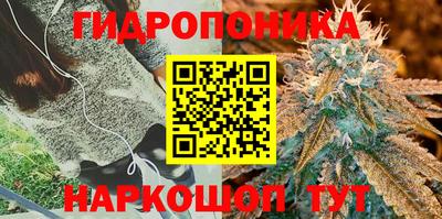 спайс Абакан