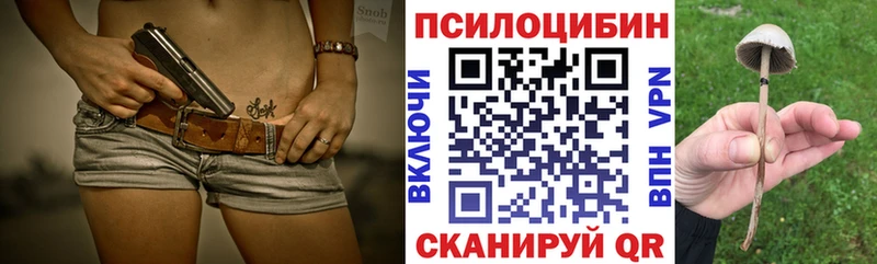 Псилоцибиновые грибы Psilocybe  Купить закладки  Семилуки 