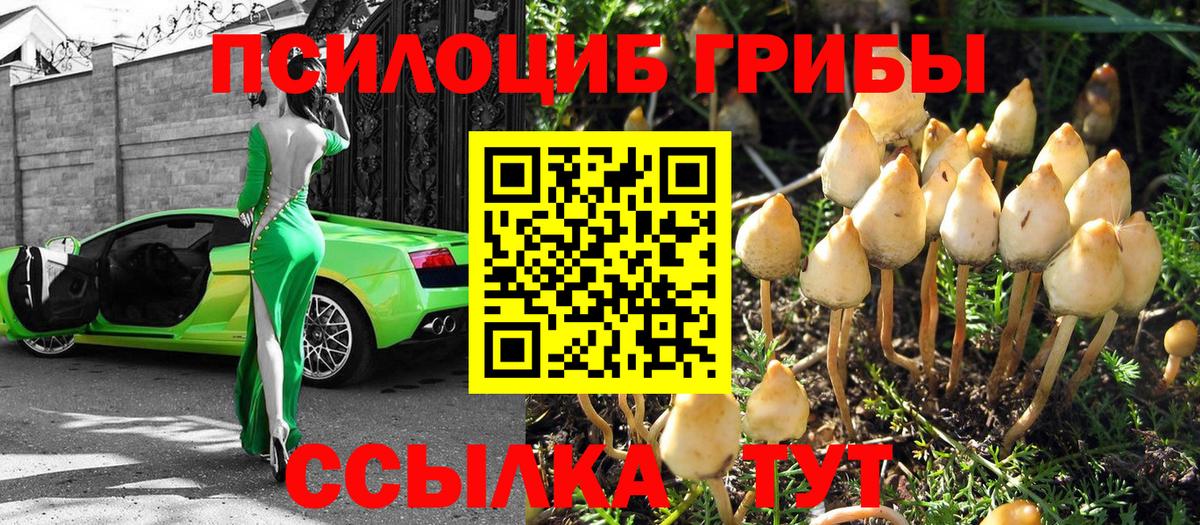 Галлюциногенные грибы Psilocybe  Вход с VPN  Семилуки 