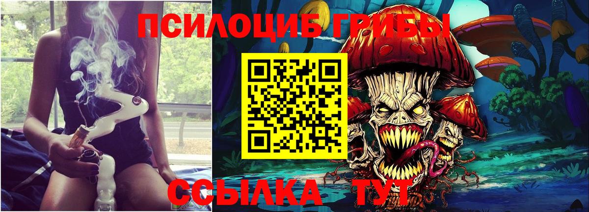 Псилоцибиновые грибы Cubensis Семилуки