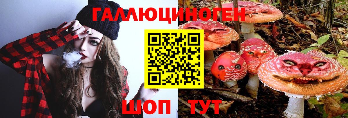 Псилоцибиновые грибы MAGIC MUSHROOMS  закладка  Семилуки 