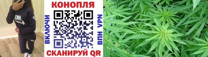 Купить закладки  Семилуки  Марихуана SATIVA & INDICA 